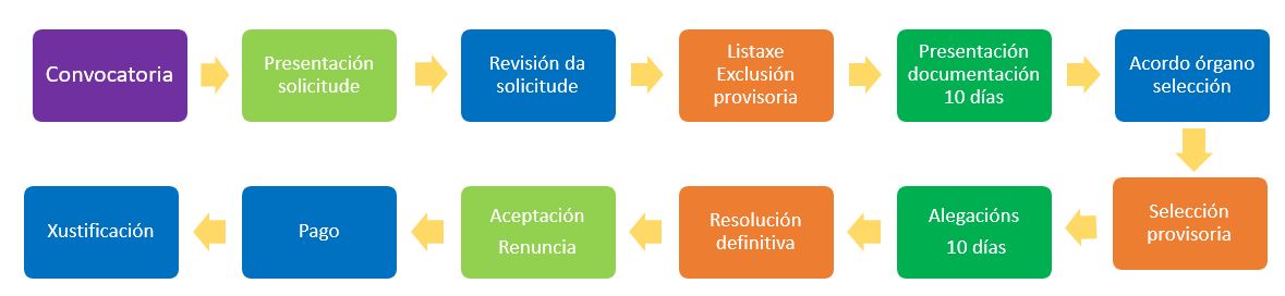 Fases procedemento