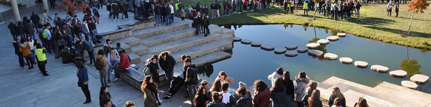 Lagoa economicas