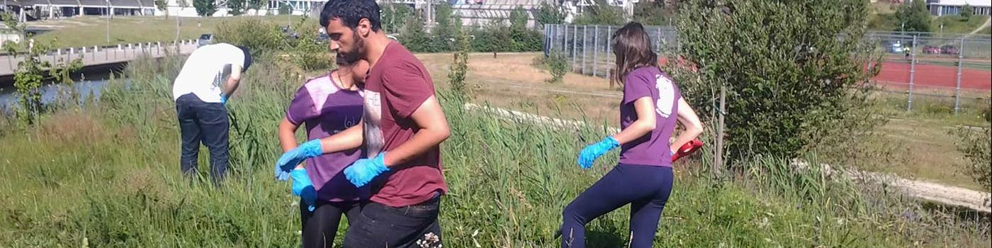 Voluntarias eliminando especies vexetais invasoras