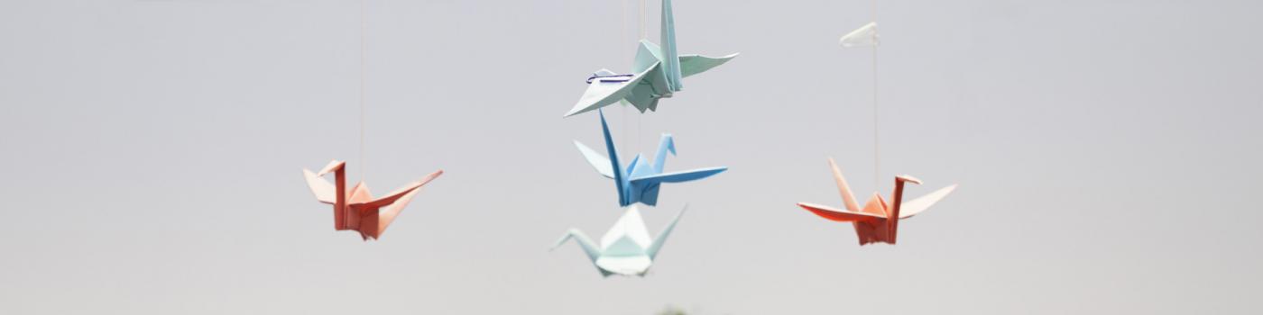 Paxaros de papel