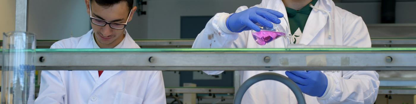 Investigadores facendo probas nun laboratorio