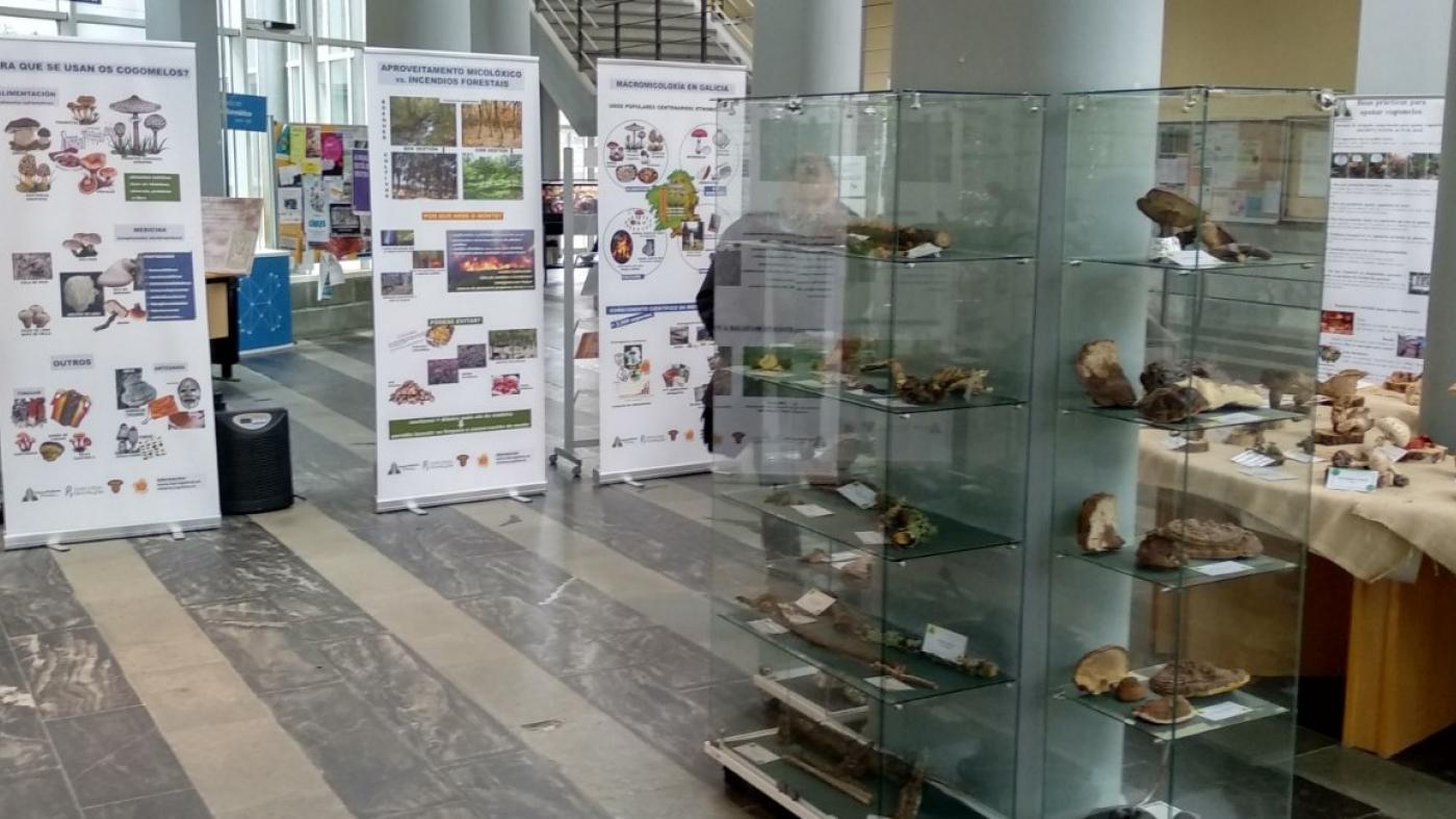 Obradoiros, conferencias, concursos e un espectáculo científico para celebrar San Alberte 2019