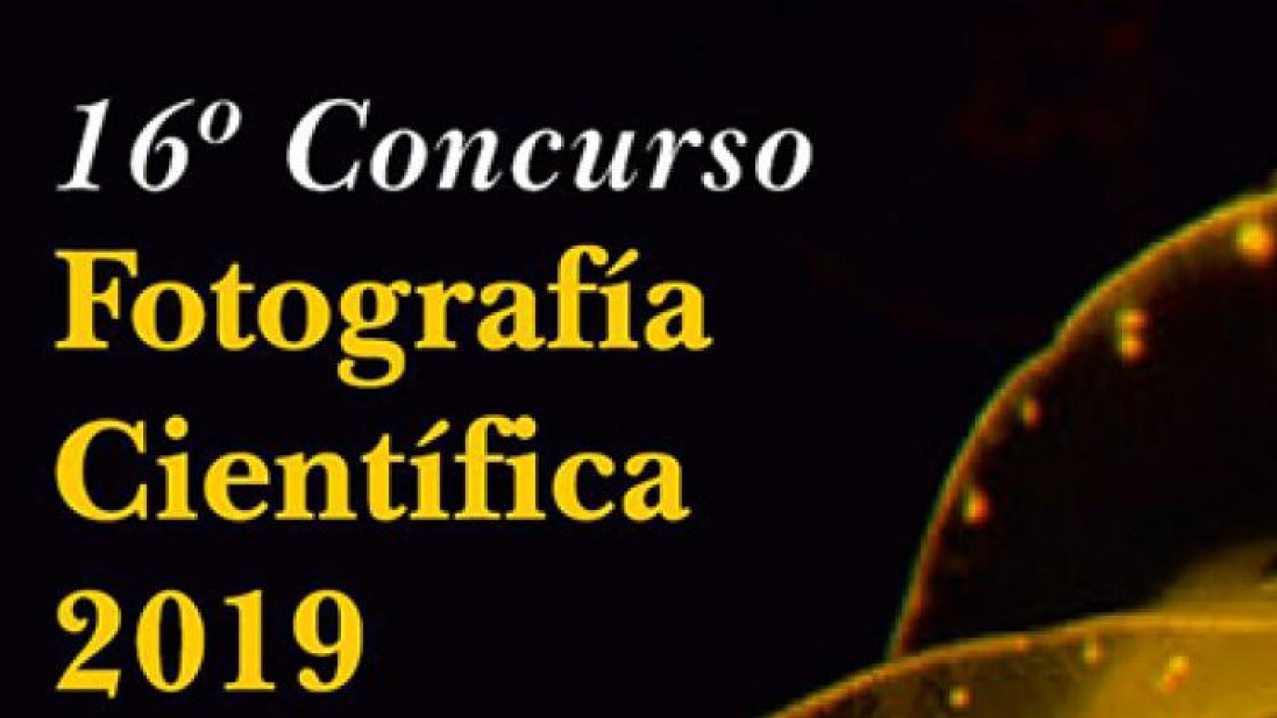 Obradoiros, conferencias, concursos e un espectáculo científico para celebrar San Alberte 2019