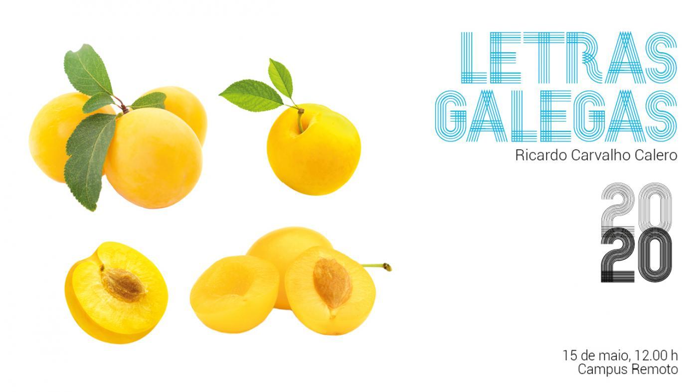 Cartel das Letras Galegas 2020 con mirabeis