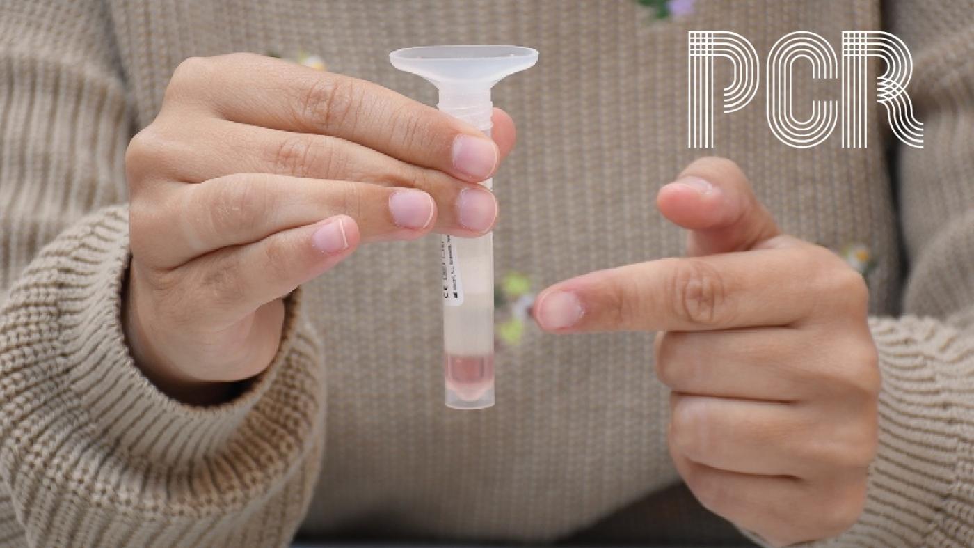 Mans que suxeitan un tubo para recoller a mostra de saliva