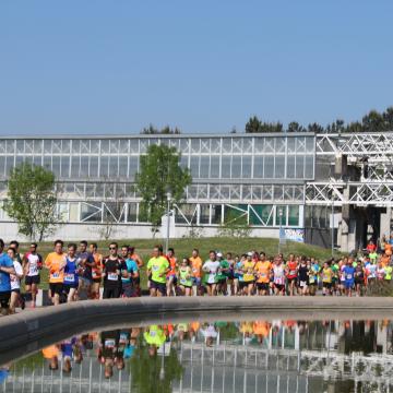 HappyGoRunning2017