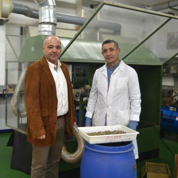 Pellets de toxo de baixa densidade para levar a biomasa ao sector da automoción