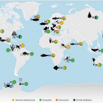 O cambio climático provoca a redistribución de especies pesqueiras
