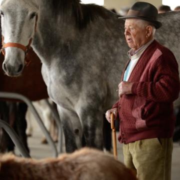 Unha ollada interactiva a un mundo tradicional