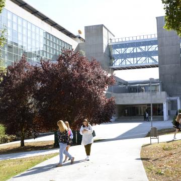 Búscanse os mellores traballos fin de grao de Ciencias Empresarias e Turismo