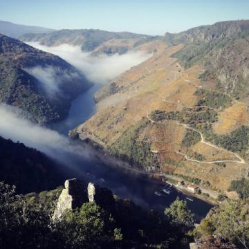 As andainas universitarias volven á Ribeira Sacra polo outono