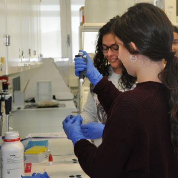 A Universidade volve abrir as portas dos seus laboratorios ás mozas de ensino secundario