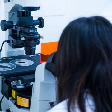 A UVIgo prorrógalles os contratos ás investigadoras posdoutorais que se acolleron a permisos de maternidade nos últimos anos 