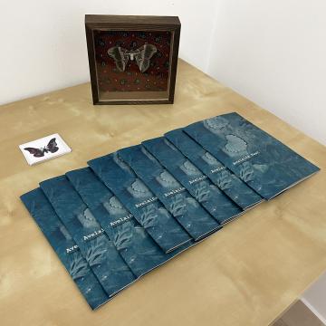 As visións do alumnado de Belas Artes sobre as supersticións que rodean á avelaíña reúnense nun fanzine