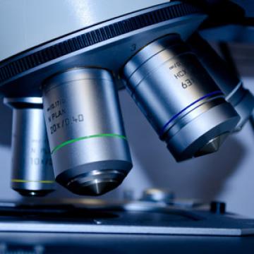 Imaxe dunha ferramenta de laboratorio