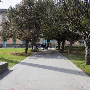 Bellas Artes Pontevedra UVigo